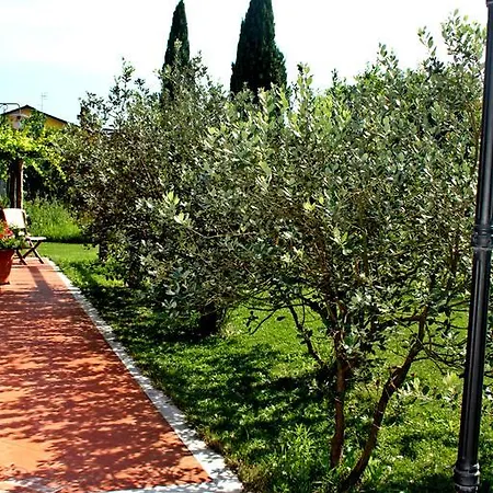 Di Luna E Di Sole