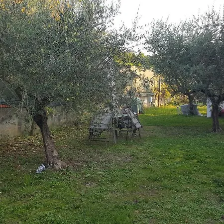 Di Luna E Di Sole